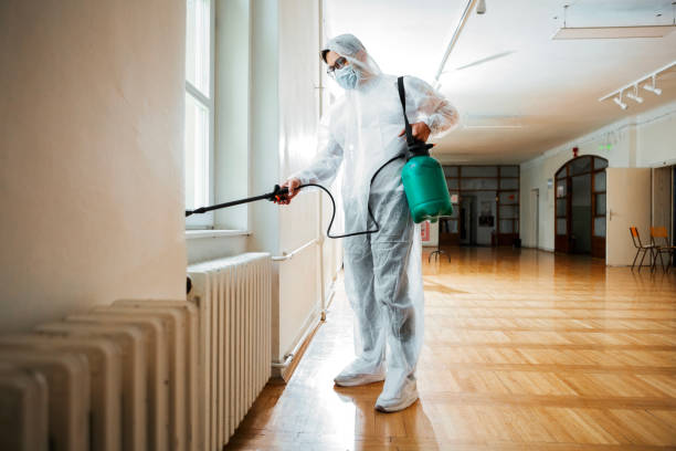 Best Flea Control Services  in Layhill, MD